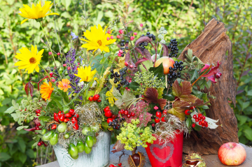 Herbstblumen